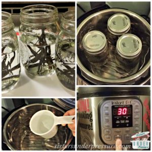 Instant Pot Vanilla Extract Collage