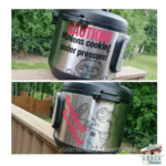 Danielle’s Family Minions Story