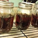 Instant Pot Homemade Pure Vanilla Extract Review