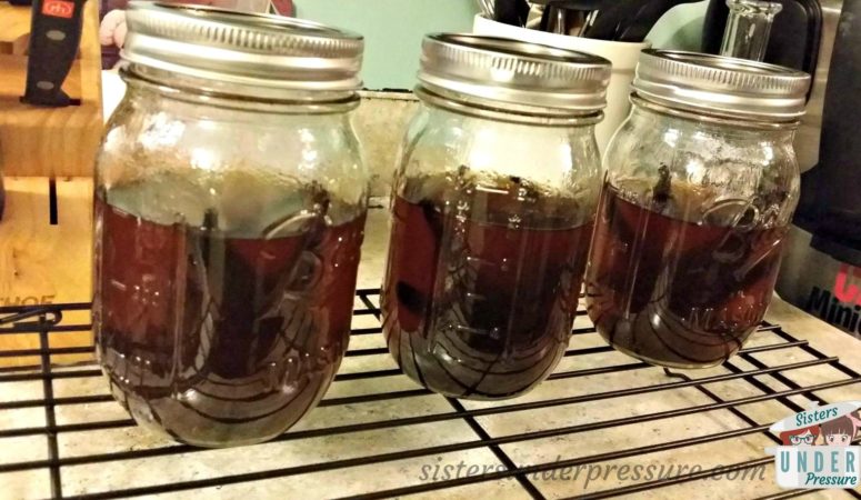 Instant Pot Homemade Pure Vanilla Extract Review